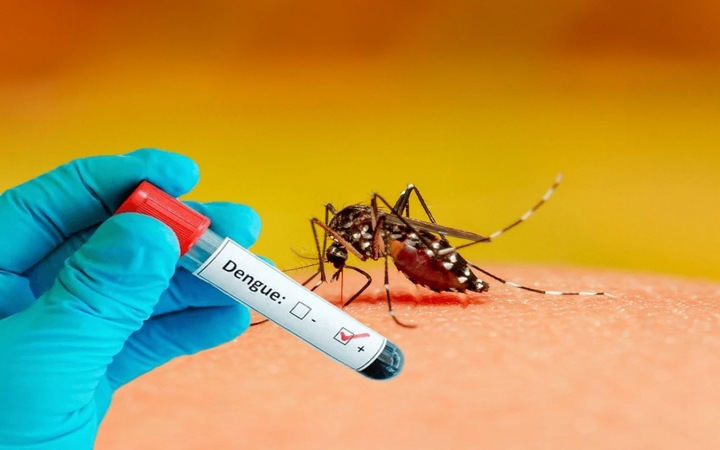 What is Dengue Virus and How to Prevent It